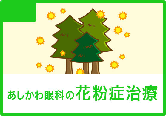 あしかわ眼科の花粉症治療